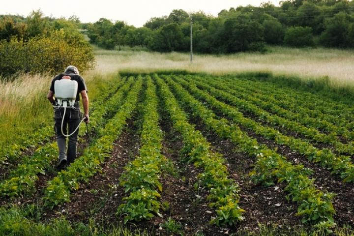 PAC: Europa estudia si la definición de agricultor genuino debe ser obligatoria o no y Planas asegura que en España se aplicará sí o sí